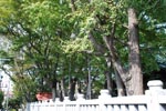 清瀧神社