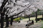 富岡公園